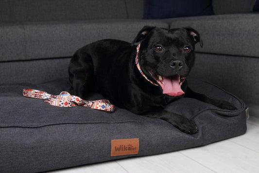 Adjustable Dog Leash - Boho