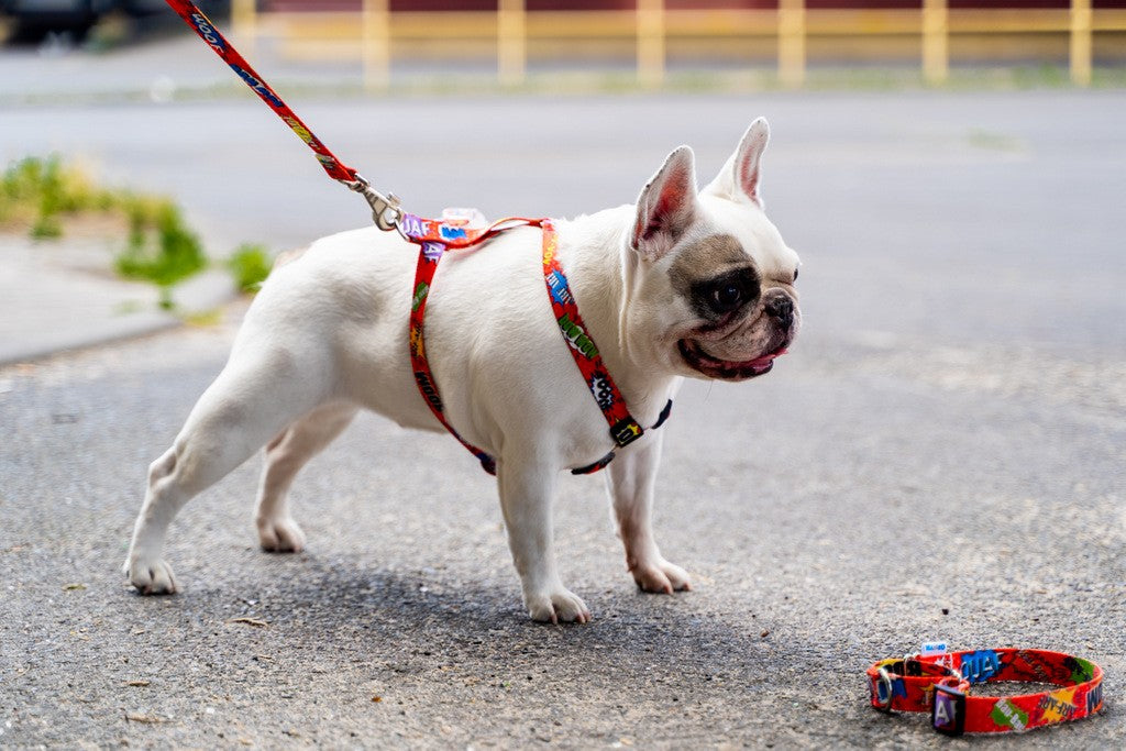 Nylon Harness – Red Graffiti