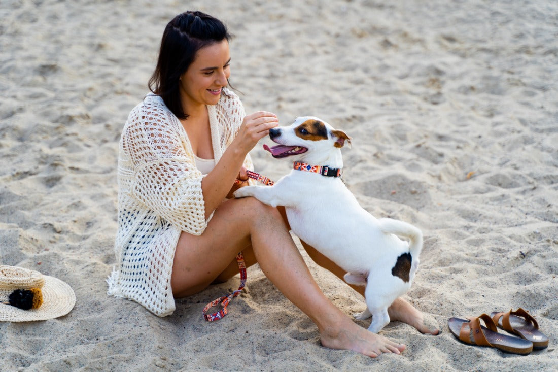 Dog Leash - Boho