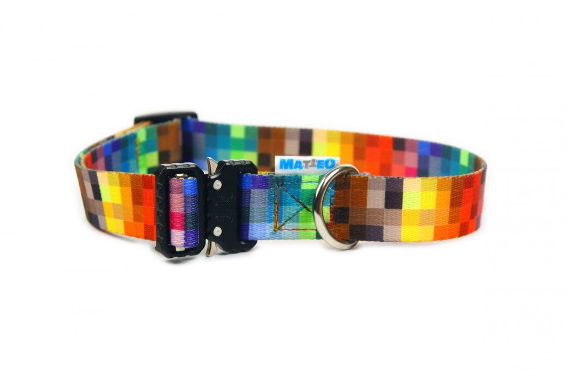 Collar With A Metal Buckle - Pixels