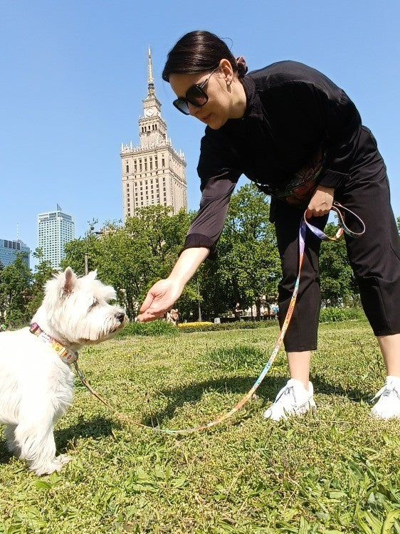 Leash – Travel