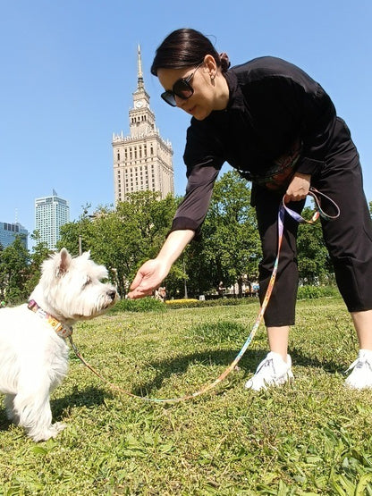 Leash – Travel